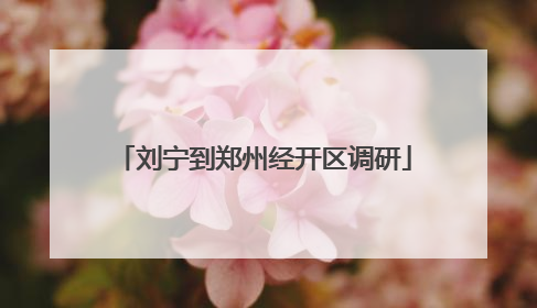 刘宁到郑州经开区调研