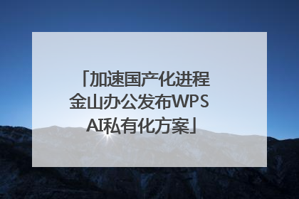 加速国产化进程 金山办公发布WPS AI私有化方案
