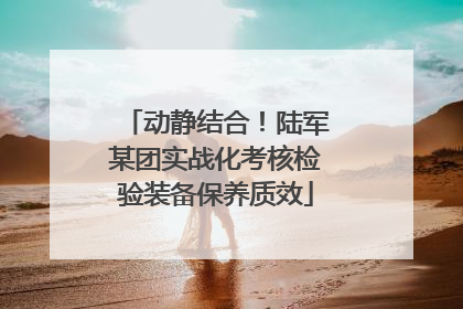 动静结合！陆军某团实战化考核检验装备保养质效