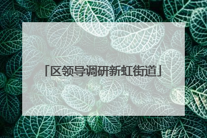 区领导调研新虹街道