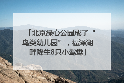 北京绿心公园成了“鸟类幼儿园”，福泽湖畔降生8只小鸳鸯