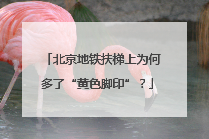 北京地铁扶梯上为何多了“黄色脚印”？