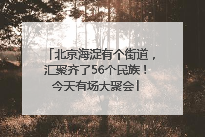 北京海淀有个街道，汇聚齐了56个民族！今天有场大聚会