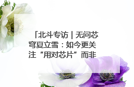 北斗专访｜无问芯穹夏立雪：如今更关注“用对芯片”而非“用贵芯片”