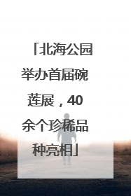 北海公园举办首届碗莲展，40余个珍稀品种亮相