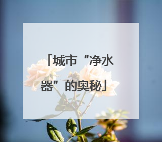 城市“净水器”的奥秘