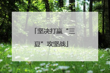 坚决打赢“三夏”攻坚战