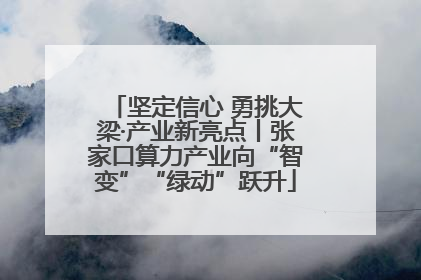 坚定信心 勇挑大梁·产业新亮点丨张家口算力产业向“智变”“绿动”跃升