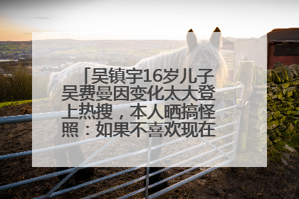吴镇宇16岁儿子吴费曼因变化太大登上热搜，本人晒搞怪照：如果不喜欢现在的我可以离开
