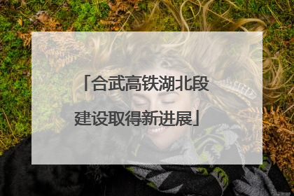 合武高铁湖北段建设取得新进展