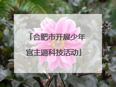 合肥市开展少年宫主题科技活动