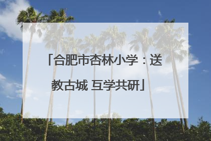 合肥市杏林小学：送教古城 互学共研