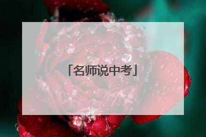 名师说中考