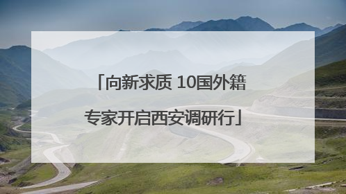向新求质 10国外籍专家开启西安调研行