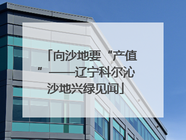 向沙地要“产值”——辽宁科尔沁沙地兴绿见闻