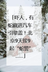 吓人，有蛇藏进汽车引擎盖！北京9天接9起“蛇警”……