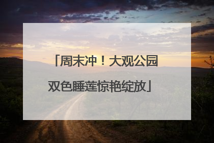 周末冲！大观公园双色睡莲惊艳绽放