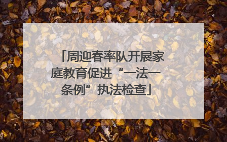 周迎春率队开展家庭教育促进“一法一条例”执法检查