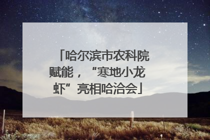 哈尔滨市农科院赋能，“寒地小龙虾”亮相哈洽会