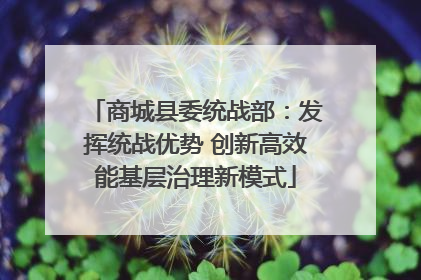 商城县委统战部：发挥统战优势 创新高效能基层治理新模式