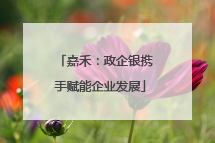 嘉禾：政企银携手赋能企业发展