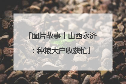 图片故事丨山西永济：种粮大户收获忙