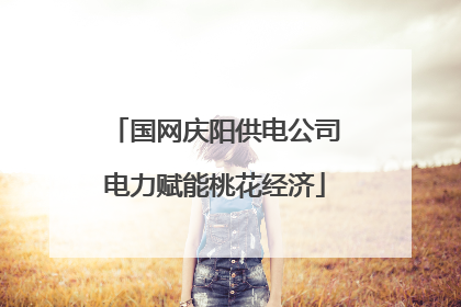 国网庆阳供电公司电力赋能桃花经济