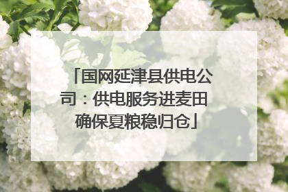 国网延津县供电公司：供电服务进麦田 确保夏粮稳归仓