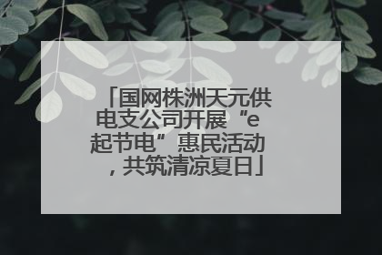 国网株洲天元供电支公司开展“e起节电”惠民活动，共筑清凉夏日
