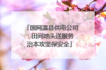 国网温县供电公司：田间地头送服务 治本攻坚保安全