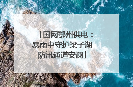 国网鄂州供电：暴雨中守护梁子湖防汛通道安澜