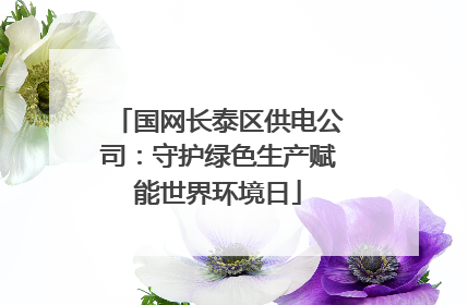 国网长泰区供电公司：守护绿色生产赋能世界环境日