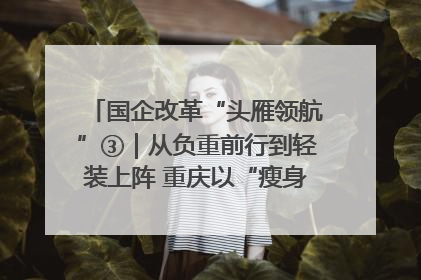 国企改革“头雁领航”③｜从负重前行到轻装上阵 重庆以“瘦身”谋“健体”