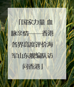 国家力量 血脉亲情——香港各界高度评价海军山东舰编队访问香港