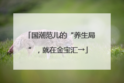 国潮范儿的“养生局”，就在金宝汇→