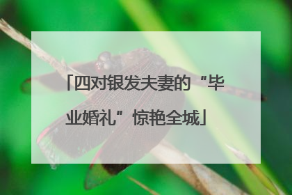 四对银发夫妻的“毕业婚礼”惊艳全城