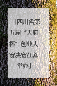 四川省第五届“天府杯”创业大赛决赛在蓉举办