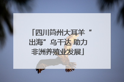 四川简州大耳羊“出海”乌干达 助力非洲养殖业发展