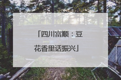 四川富顺：豆花香里话振兴