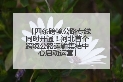 四条跨境公路专线同时开通！河北首个跨境公路运输集结中心启动运营