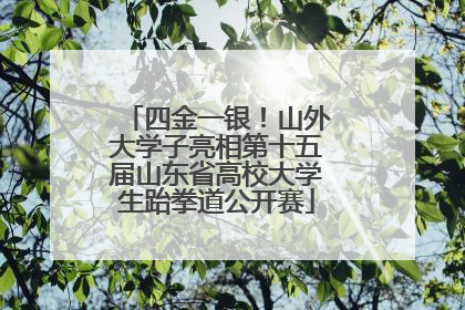 四金一银！山外大学子亮相第十五届山东省高校大学生跆拳道公开赛