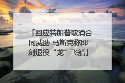 回应特朗普取消合同威胁 马斯克称即刻退役“龙”飞船