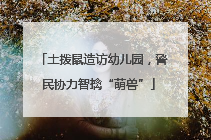 土拨鼠造访幼儿园，警民协力智擒“萌兽”