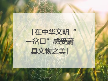 在中华文明“三岔口”感受蔚县文物之美