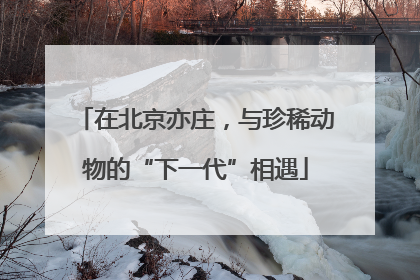 在北京亦庄，与珍稀动物的“下一代”相遇