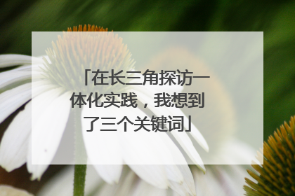 在长三角探访一体化实践，我想到了三个关键词