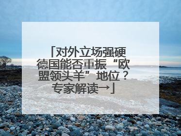 对外立场强硬 德国能否重振“欧盟领头羊”地位？专家解读→