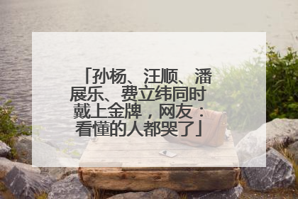孙杨、汪顺、潘展乐、费立纬同时戴上金牌，网友：看懂的人都哭了