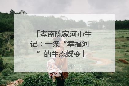 孝南陈家河重生记：一条“幸福河”的生态蝶变