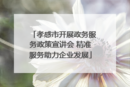 孝感市开展政务服务政策宣讲会 精准服务助力企业发展